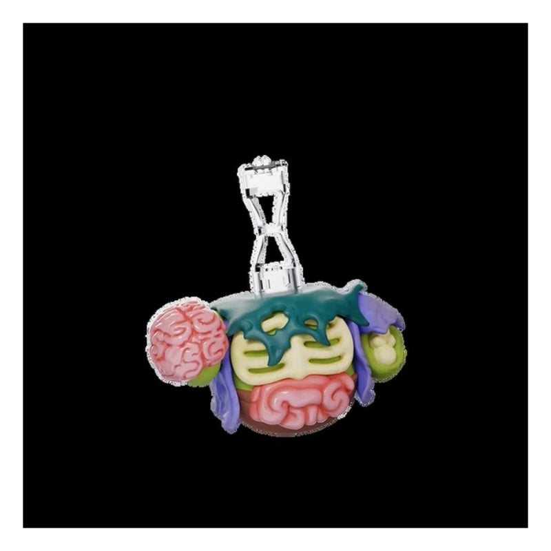 Eiliko SpinKit 主題身體組件全4款套裝(不含頭部)