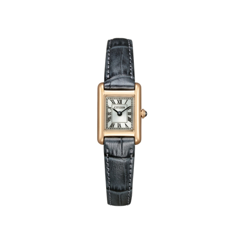 Citizen - Eco Drive - EG系列