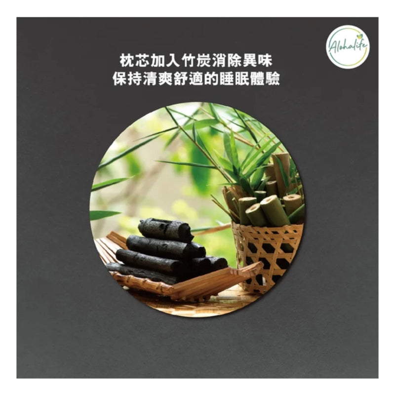 Sinomax 石墨烯抗菌調節枕 (雙向枕) (只限送貨)