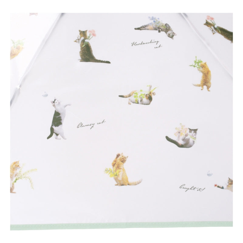 WPC MASAYUKI OKI PT-OM005-002 Size 61cm (只限送貨)